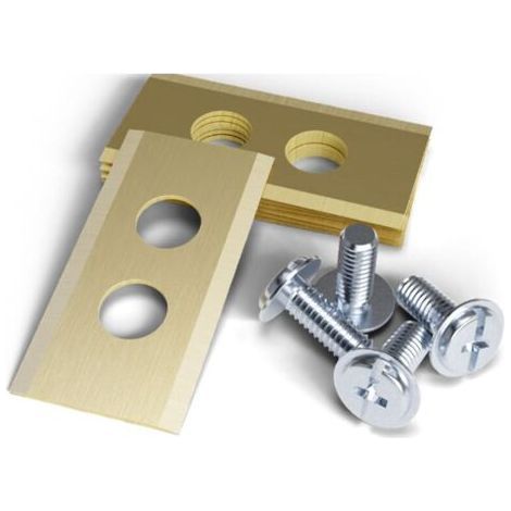 36 x 18 mm, (30 pieces), blade thickness is 1 mm, gold stainless steel replacement blade with double hole, suitable for tone blades (1/4)