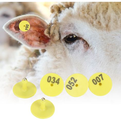 Packung mit 100 runden, gelben TPU-Ohrmarken Ø3cm für Nutztiere, Schweine, Schafe, Rinder, zur Kennzeichnung und Identifizierung, mit 100 Befestigungselementen (1/5)
