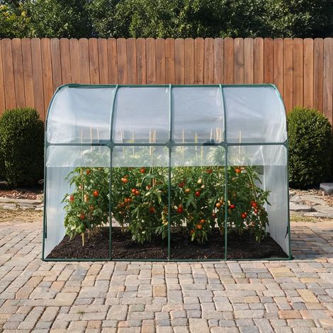 Serre de jardin transparent en acier plastique 400 x 120 x 170 cm (1/5)