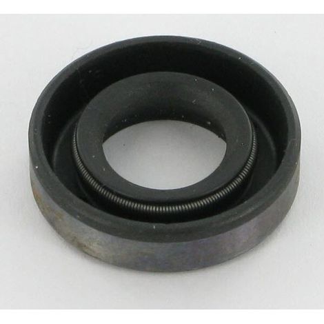 Guarnizione paraolio Briggs et Stratton 691952 - 391484