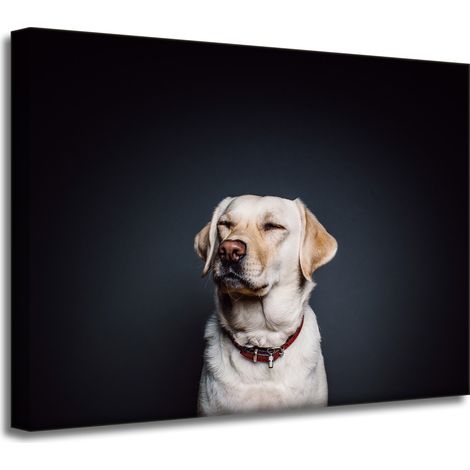 Lienzo impreso con diseño de animales (perro) sobre fondo negro, 40 x 30 cm.