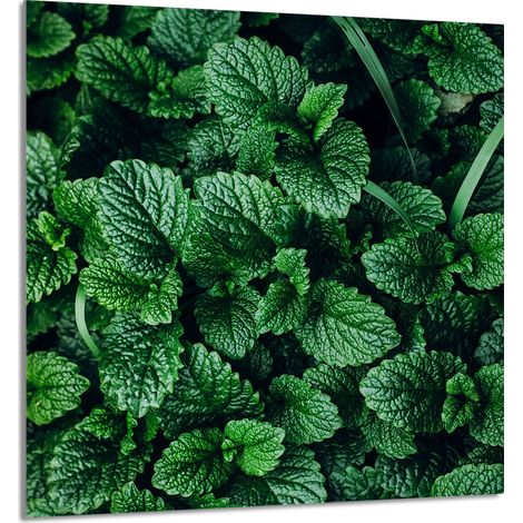 Panneau de verre POUR la cuisine 60x65 Melisa (1/5)
