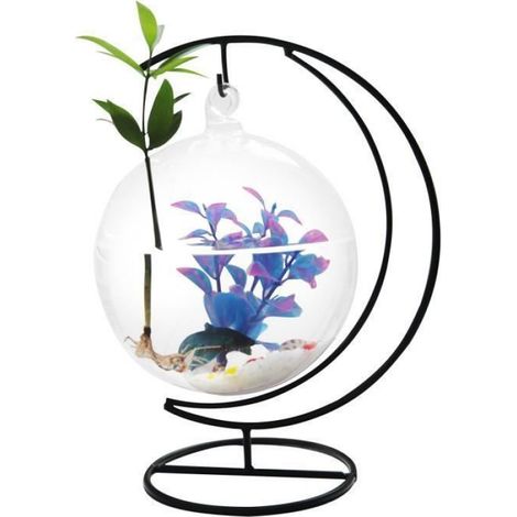Boule Verre - Aquarium Suspendu - Support Métal - Décoration Intérieure - 10 x 15 cm (1/4)