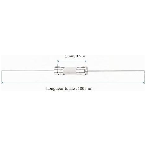 QUARKZMAN 250V T2A 5mm x 20mm Coup lent Fusible 5PCS Argenté