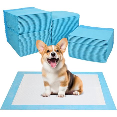 100 Pièces Alaise pour Chien 33 x 45 cm Tapis Absorbant Chien, Super Absorbants Alèse Jetable pour Chien, Anti Fuite et Résistante (1/5)