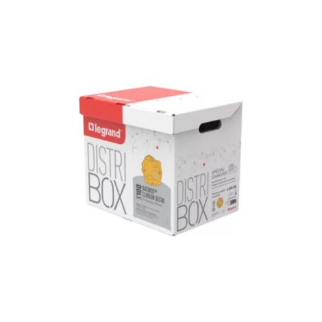 Distributeur de 100 boîtes cloisons sèches Batibox - Profondeur 50 mm - 080009 - Legrand (1/3)