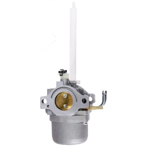 BRIGGS & STRATTON Carburatore Adattabile SNOW BS 796122 (1/3)