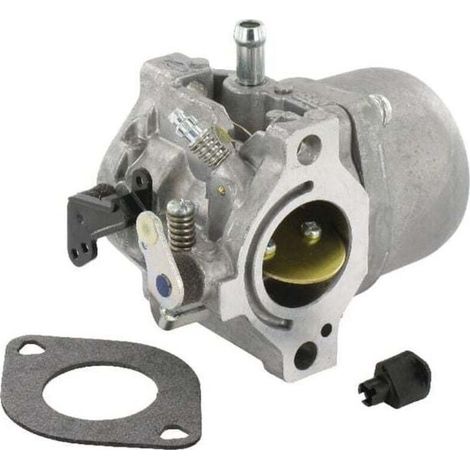 Carburateur BRIGGS ET STRATTON 799728 (1/5)