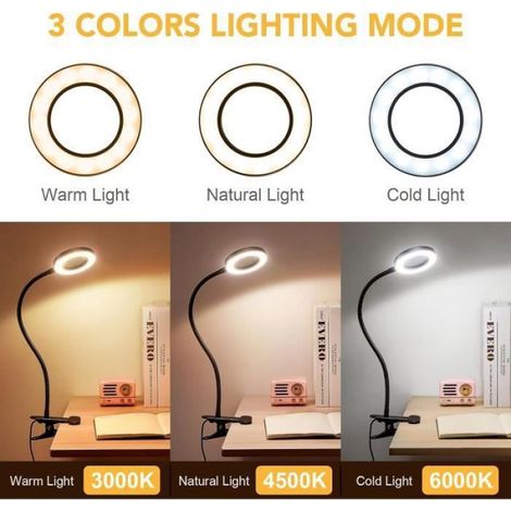 Lampe loupe grossissement 5X, intensité variable, 3 modes de couleur, rechargeable par USB, idéale pour inspection, lecture et travaux manuels (1/4)