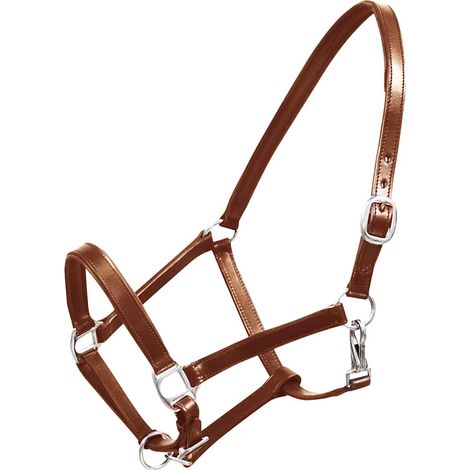 vidaXL Ronzal/Cabestro de Cuero Marrón Ajustable Para Caballo (Estándar) (1/3)