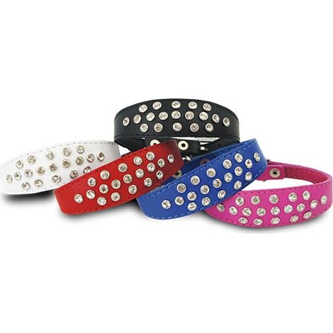 Collar piel Exclusive Cristal COLLAR EXCLUSIVE AZUL TALLA 4 (1/5)