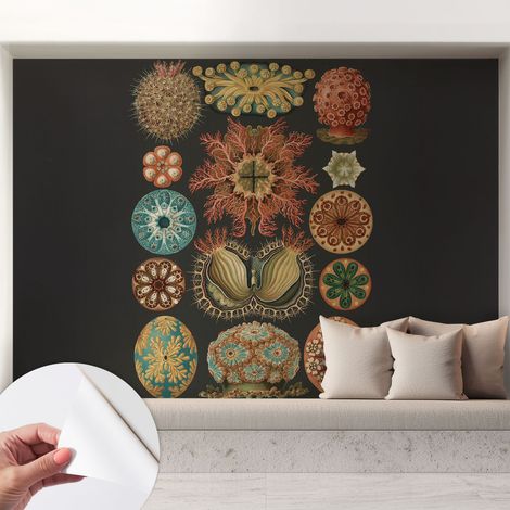 Carta da parati autoadesiva - impermeabile - murale da parete - decorazione murale - Ispirazioni marine 208x146 cm (1/5)