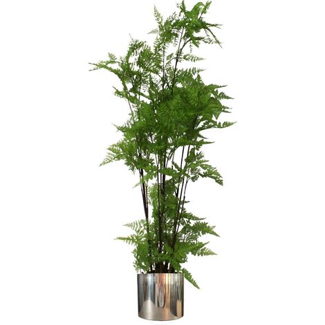 150cm Artificial Natural Moss Base Fern Foliage Plant with Silver Metal Plater (1/5)