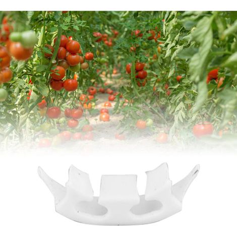Pflanzstützclips aus Kunststoff – 100er-Packung, vertikale Befestigungsclips für Tomaten, Weinreben, Trauben und Gärten – Gartenbau