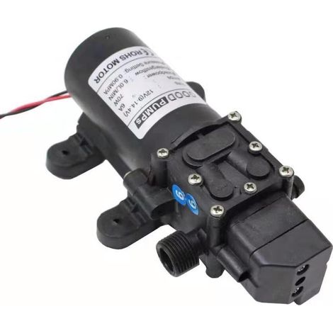 Pompe électrique portable 12V pour lavage auto, arrosage jardin, camping-car et activités de plein air, transfert d'eau simple (1/5)