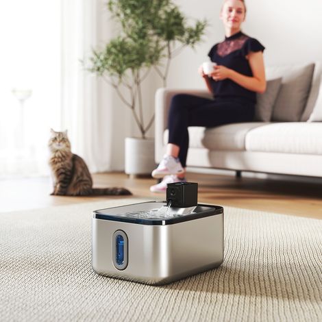 Fontaine à boisson pour chat acier inoxydable 5L, abreuvoir silencieux avec système de filtration 3 niveaux, batterie rechargeable USB, couleur argent. (1/5)