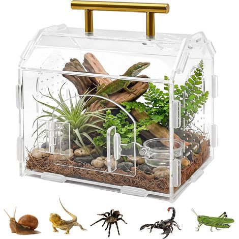 Terrario para Reptiles, Caja de Cría de Acrílico Transparente con Orificios de Ventilación y Asa Caja de Alimentación de Insectos para Arañas, Lagartos, Geckos, Tarántulas y Otros Reptiles (1/5)