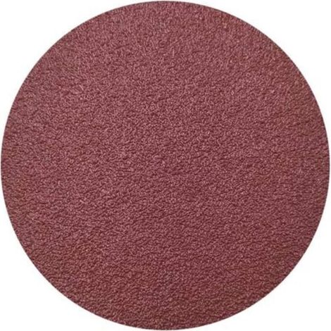 100 Pièces Disque Poncer 75mm Disques Abrasif Papier Sans Trous Disque Ponçage Grain 80 (1/5)