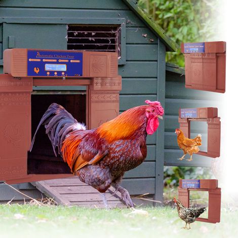 Porte de Poulailler Automatique Solaire Double Ouverture Porte de Poule Contrôle Remote Timing pour Ferme de Canard Oie Antique Bronze (1/4)