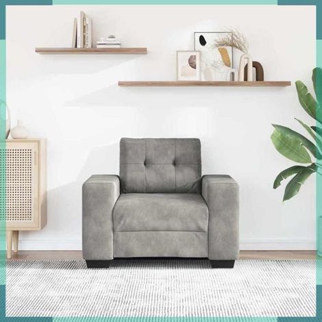 4105098 Fauteuil Gris clair 100x78x80 cm Velours (1/5)