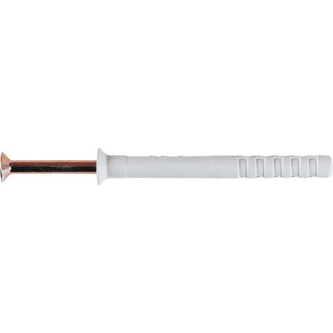 Cheville à frapper RS PRO 8 x 100, 8mm x 100mm ( Prix pour Sachet de 10 )