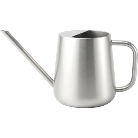 Arrosoir Petit Arrosoir pour Plantes d'intérieur Arrosoir-argent