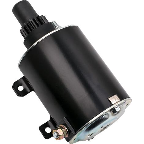 Moteur de démarrage, Longueur 25 cm, Largeur 15 cm, Hauteur 14 cm, Poids 2250 g, Compatible avec Tecumseh HM70-100 (1/5)