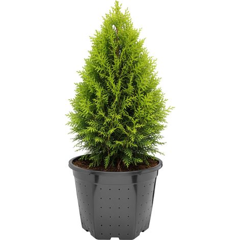 Garronda Pflanztopf quadratisch Kunststoff Ø28 x 22 cm (10L) mit Drainagelöchern Blumentopf Pflanzgefäß für Garten Gewächshaus Balkon Anzucht Innen Außenbereich Schwarz GD-0205