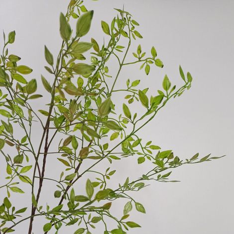 Plante Artificielle Nandina Verte Branche Décoration Intérieure Fausse Plante