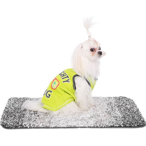 Vêtements pour animaux de compagnie en coton doux, gilet d'été tendance pour chiens et chiots mignons (vert fruit, taille M) (1/5)