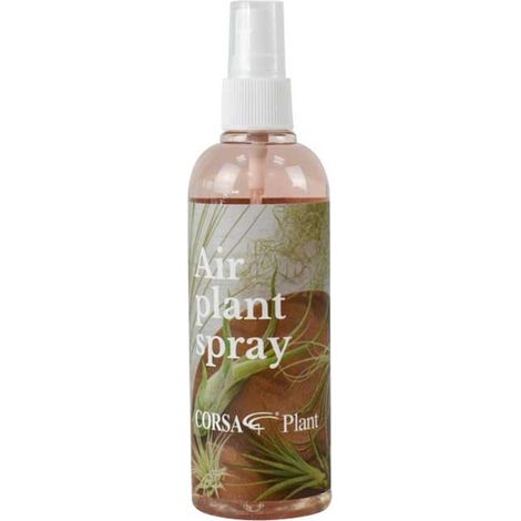 IDRATANTE PER TILLANDSIA SPRAY 150ML