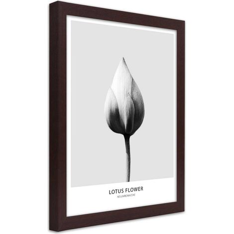 Quadro con cornice, Bocciolo di loto bianco - 70x100 (1/5)