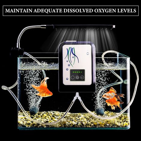 Connecteur en Y pour Tuyau de Pompe à Air d'Aquarium - Raccord de Tube de Bassin en Plastique Translucide à 3 Voies pour Poissons et Laboratoire