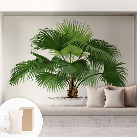 Tapete Vliestapete mit Kleber - Wanddekoration - Wandfolie - 3D Tapete Wand - Wohnungsdeko Exotische Palme 208x146 cm (1/5)