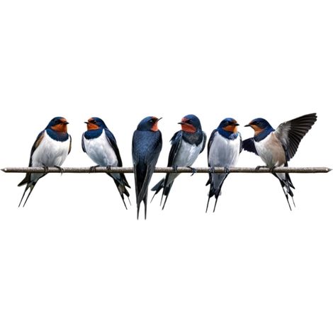Vögel Frühling und Sommer dekorative Vögel Bastelornamente