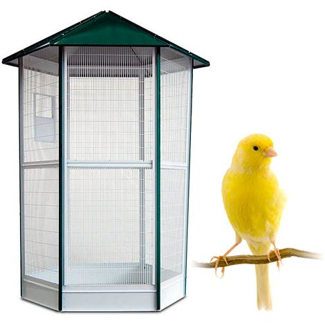 Voladera para Pájaros - Pajarera Exterior - Voladera Java de 6 Lados - Voladero de Jardín para Periquitos, Agapornis, Canarios y Otros pájaros