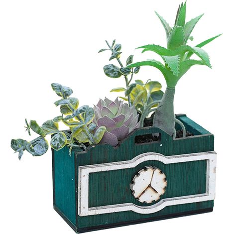 Plante Artificielle Succulente - Pot Bonsai Décoratif - Pour Intérieur Et Extérieur - Lot De 1 (1/5)