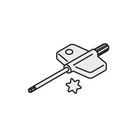 Torx-Schlüssel ISO PT-8003 Bruttogewicht 8g PRAMET (1/2)