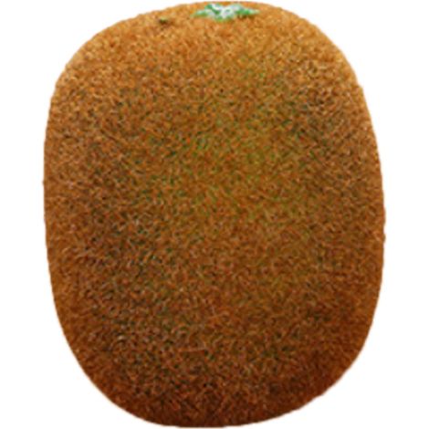 Modèle de fruit artificiel en mousse, faux fruit, matériel pédagogique pour la maternelle, accessoires décoratifs, kiwi (1/2)
