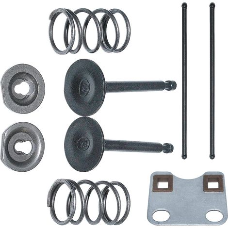 Valve Push Rod Guide Plate Fit For Honda GX160 GX200 5.5HP 6.5HP Engine14791-ZE1-010, Valve Push Rod, Push Rod Guide Plate, Valve Spring, Spring Retainer, Inlet Valve Collet (1/5)
