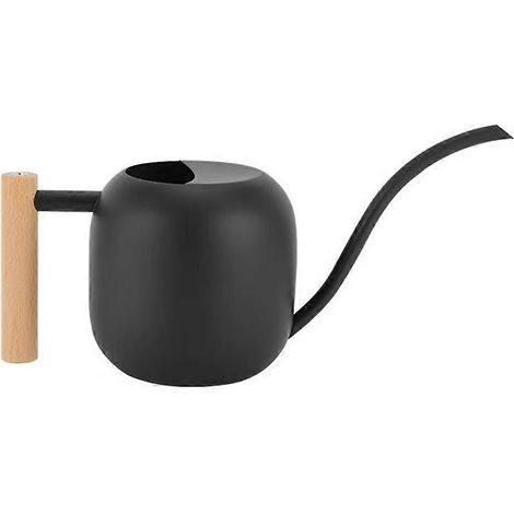 Arrosoir en acier inoxydable de 1200 ml avec long bec et grande capacité, poignée en bois, idéal pour arroser les plantes, les fleurs et pour le jardinage. (1/5)