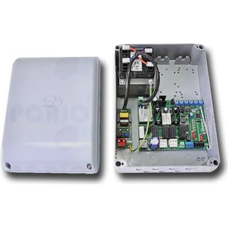 Panneau de commande central CAME 002ZL60 ZL60 24V pour portails battants (1/4)