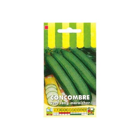 Concombre vert long maraîcher – Graines non hybrides – Exposition plein soleil – Semis mars-avril – Récolte précoce – Graines Bocquet