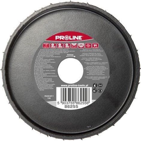 Profix 5903755862556 Disque de façonnage large 120 mm