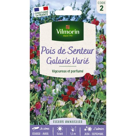Vilmorin Pois de Senteur Galaxie Varié (1/2)