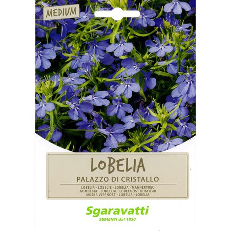 SEMI PER PRATO UNIVERSALE lobelia palazzo di cristallo Q.TA 20 lobelia palazzo di cristallo