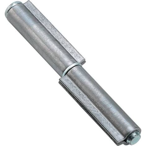 Q.TA'. 24 CERNIERA PER FERRO 2 ALI PERNO ACCIAIO 120 MM