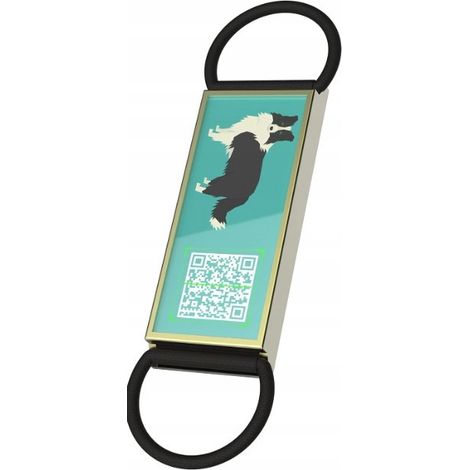 Targhetta identificativa per cani con codice QR - Targhetta per Border Collie (1/3)