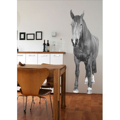 Sticker Autocollant Cheval Noir et Blanc 58 cm X 172 cm - Décoration Murale Animaux (1/2)