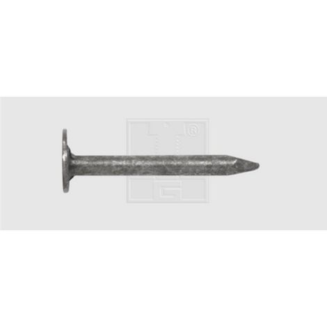 SWG 9825253012 Dachschiefernagel aus verzinktem Stahl 30 mm